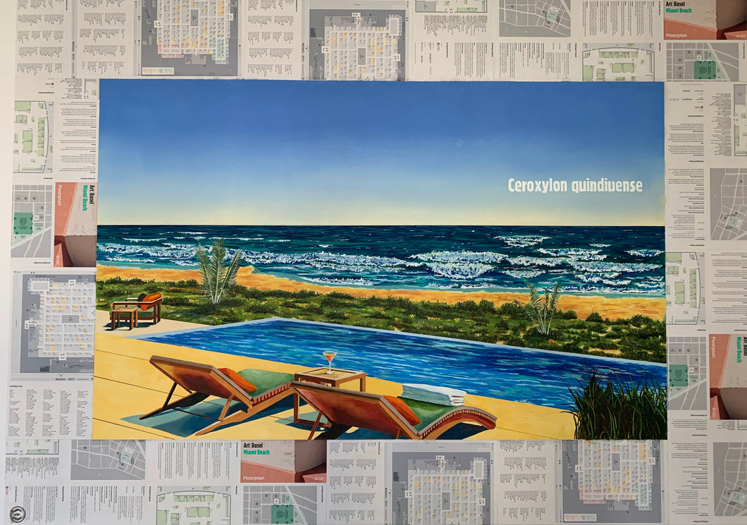 Potato Road. Ceroxylon quindiuense - Palma de Cera del Quindío