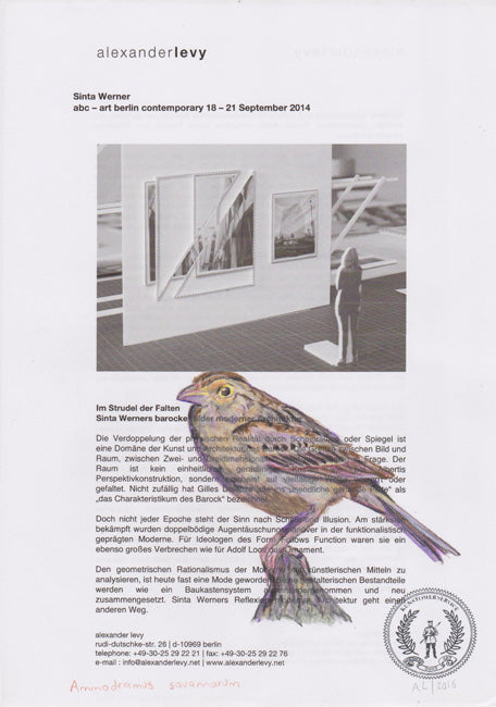 Ammodramus savannarun