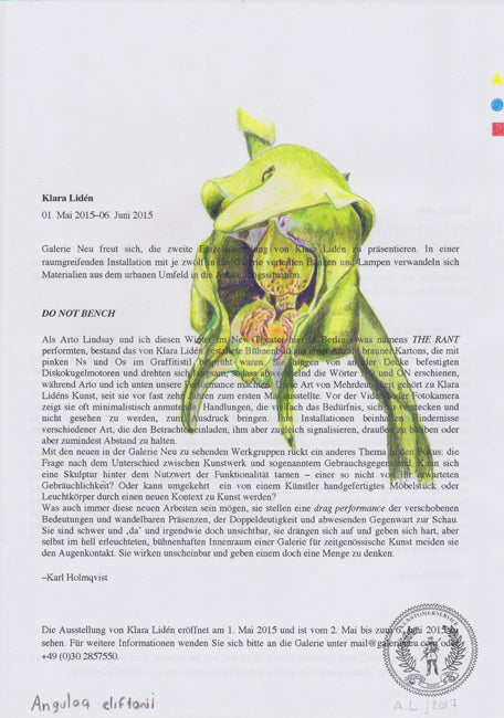 Anguloa cliftonii