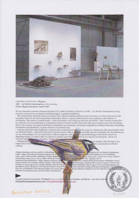 Basileuterus basilicus