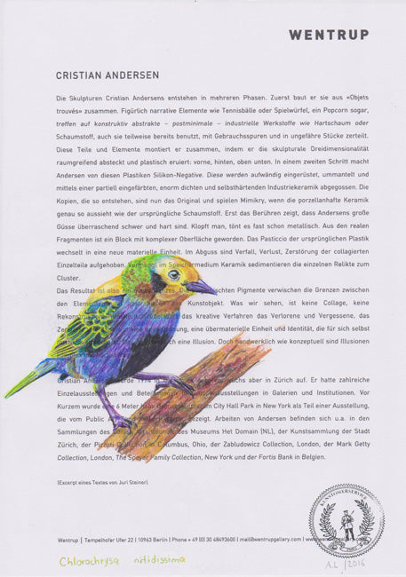 Chlorochrysa nitidissima