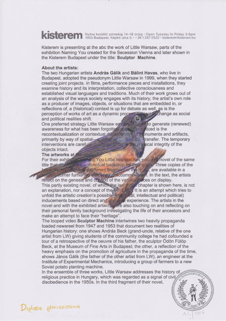 Diglossa gloriosissima