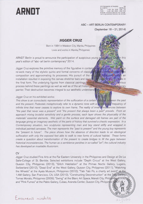 Eriocnemis mirabilis