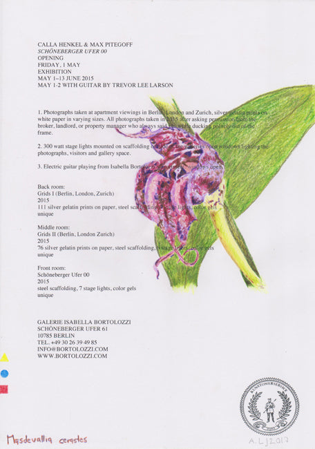 Masdevallia cerastes