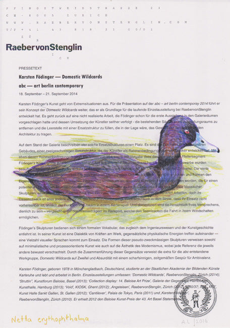 Netta erythrophtalma