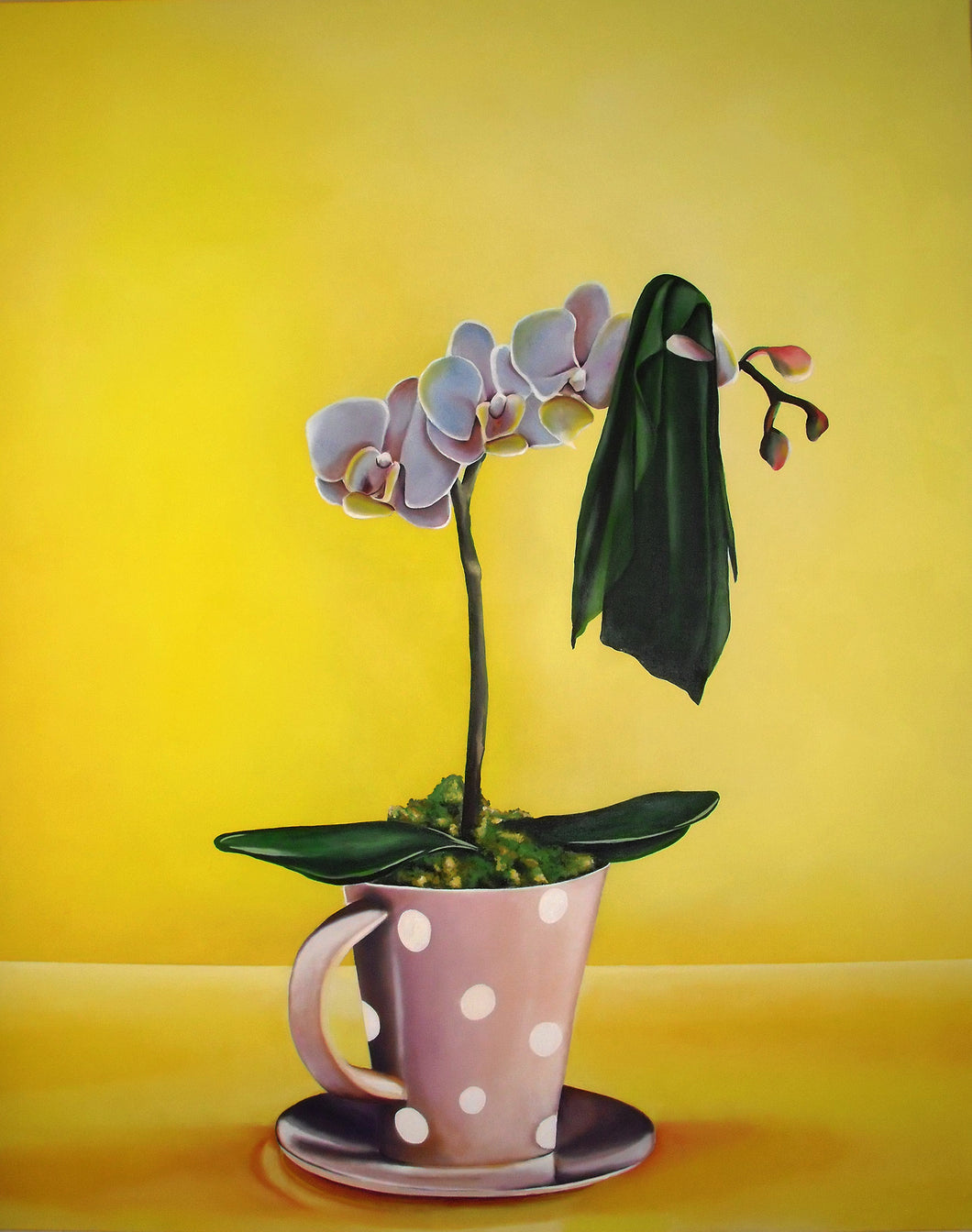 From the series: After