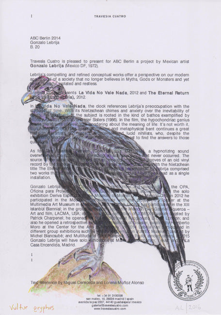 Vultur gryphus