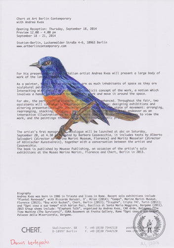 Dacnis berlepschi