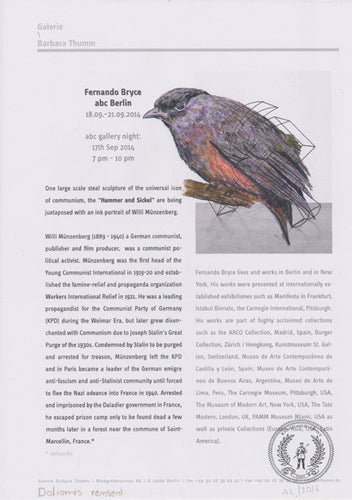 Doliornis remseni