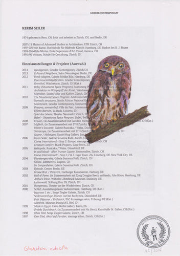 Glaucidium nubicula