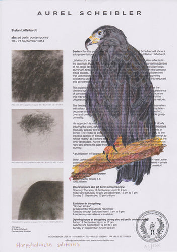 Harpyhaliaetus solitarius