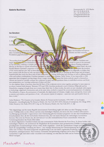 Masdevallia foetens