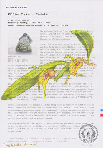 Masdevallia fragrans