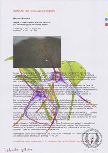 Masdevallia gilbertoi