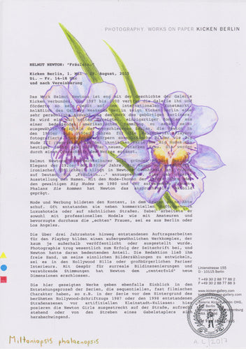 Miltoniopsis phalaenopsis