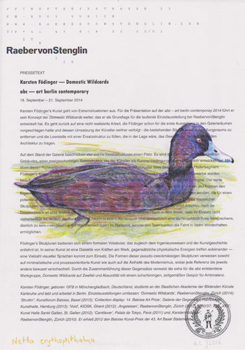 Netta erythrophtalma