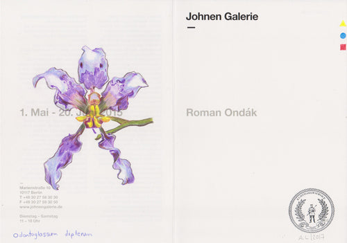 Odontoglossum dipterum