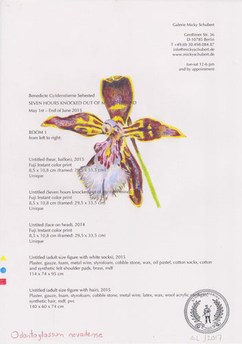 Odontoglossum nevadense