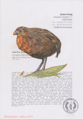 Odontophorus melanonotus