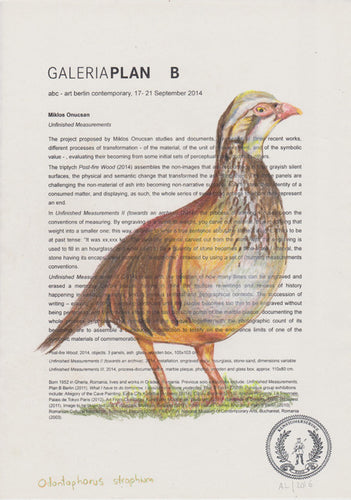 Odontophorus strophium