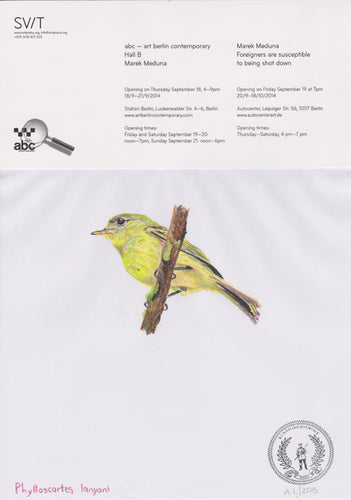 Phylloscartes lanyoni