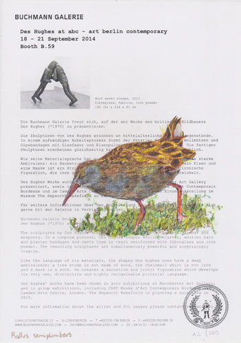 Rallus semiplumbeus
