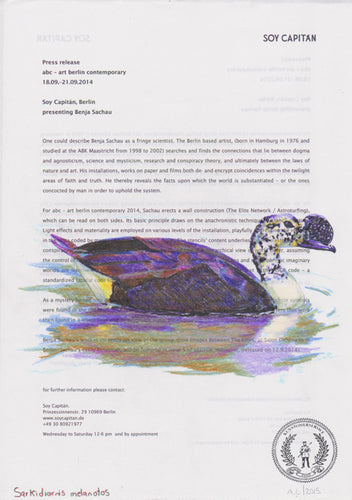 Sarkidiornis melanotos