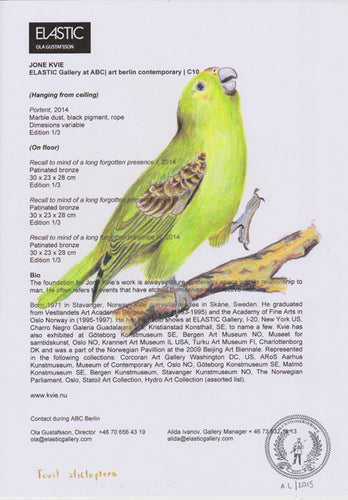 Touit stictoptera