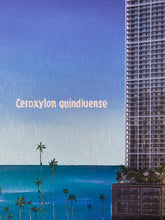 Natiivo Miami. Ceroxylon Quindiuense