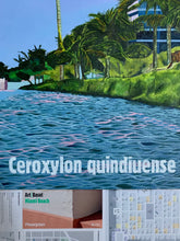 2000 Ocean. Ceroxylon quindiuense