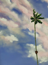 2000 Ocean. Ceroxylon quindiuense