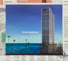 Natiivo Miami. Ceroxylon Quindiuense