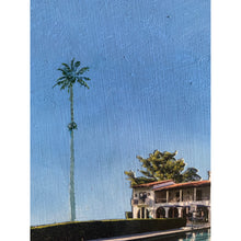 Pine Tree Drive. Ceroxylon quindiuense